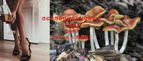 кокаин премиум Верея