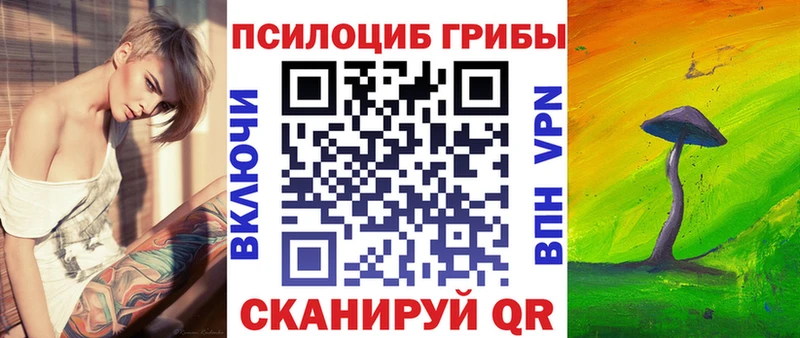 блэк спрут как зайти Мончегорск Псилоцибиновые грибы Cubensis